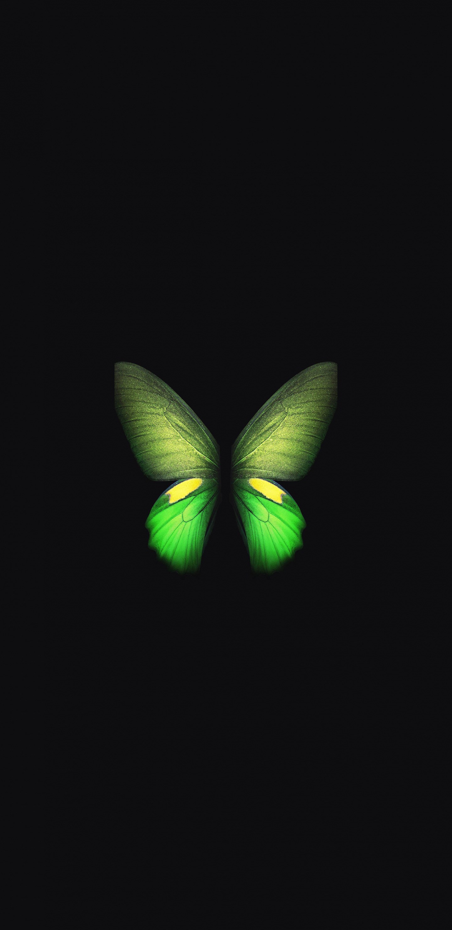 Samsung Galaxy Fold Butterfly Green Wallpaper