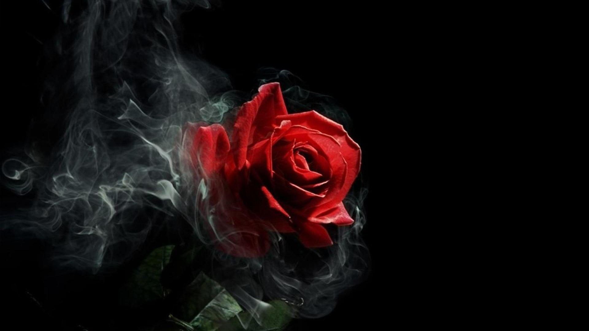 Gothic Roses Wallpaper Top Background