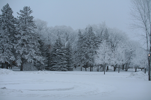 University of North Dakota in Winter no 1873 Flickr   Photo Sharing 500x333