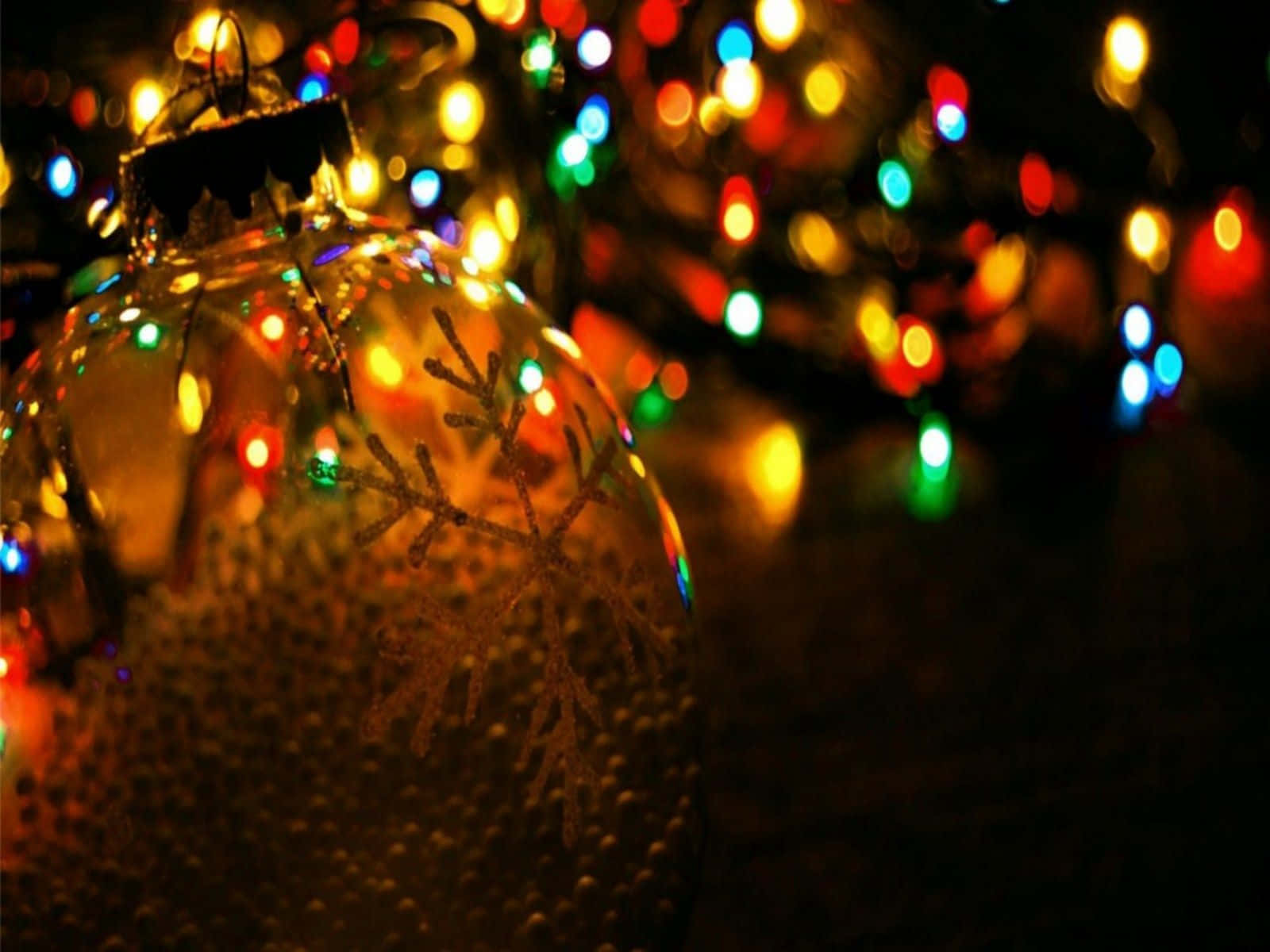 Christmas Lights Cute Wallpaper