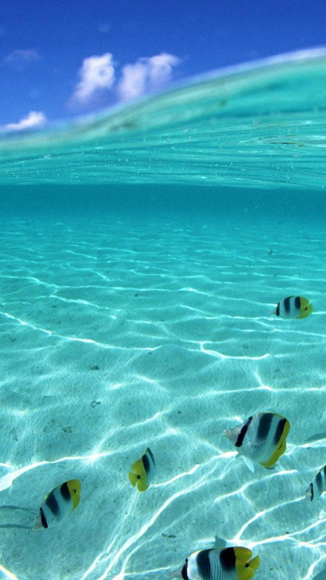 Half Underwater Smartphone HD Wallpaper High Resolution Photo