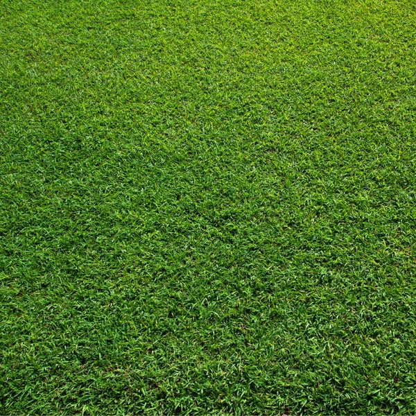 Grass Textures Wallpaper Desktop