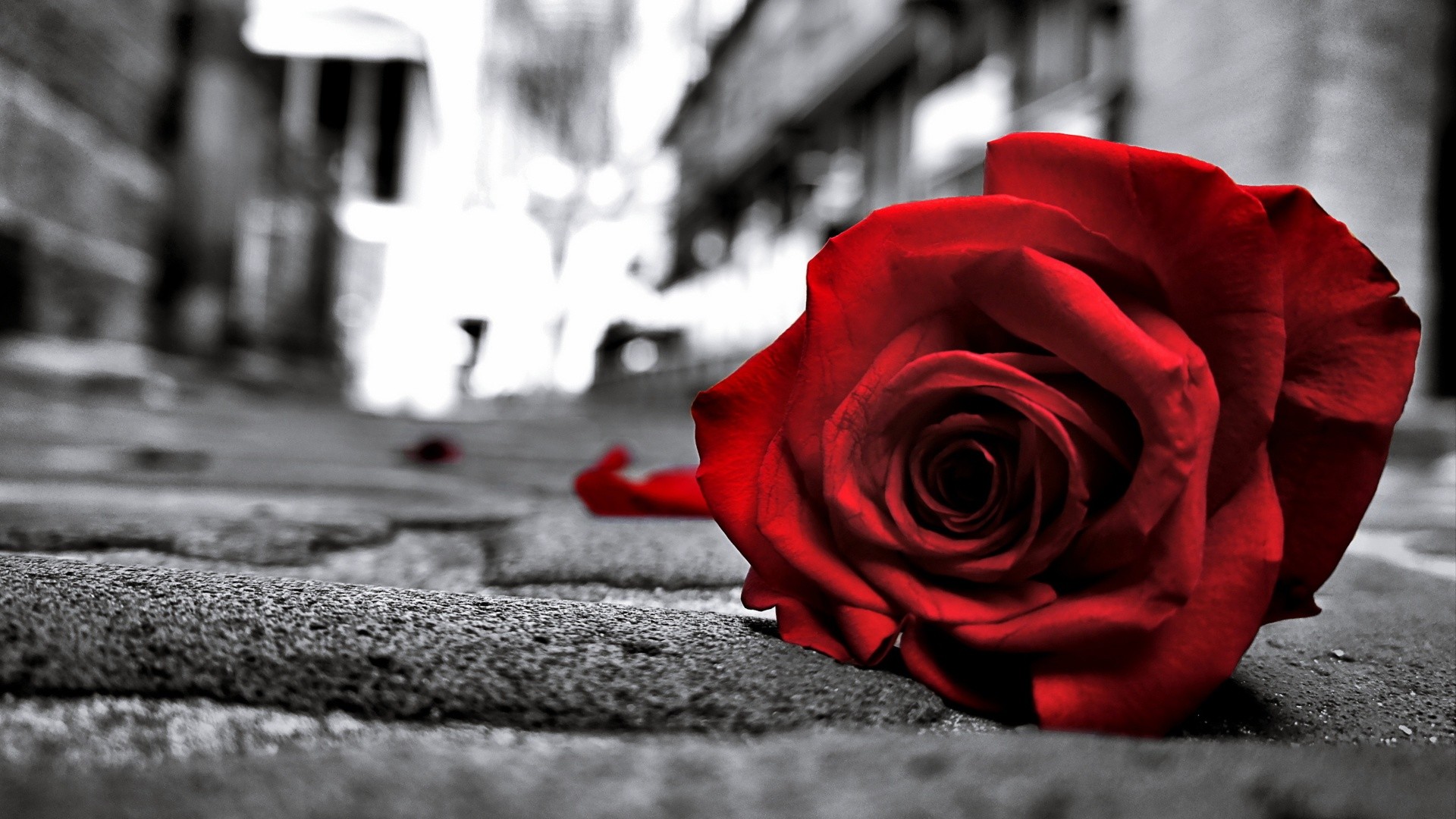 Sad Wallpaper Of Love