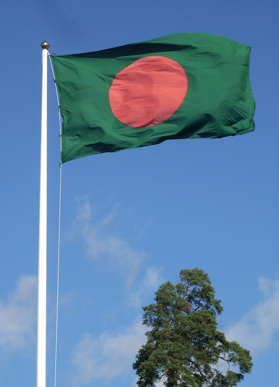 Graafix Wallpaper Flag Of Bangladesh