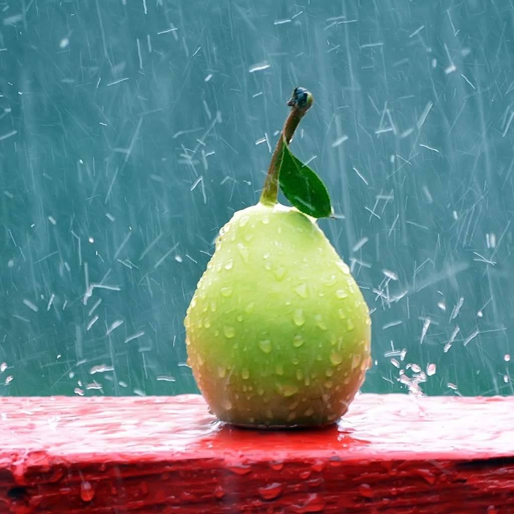 Green Pear In The Rain iPad Wallpaper iPhone