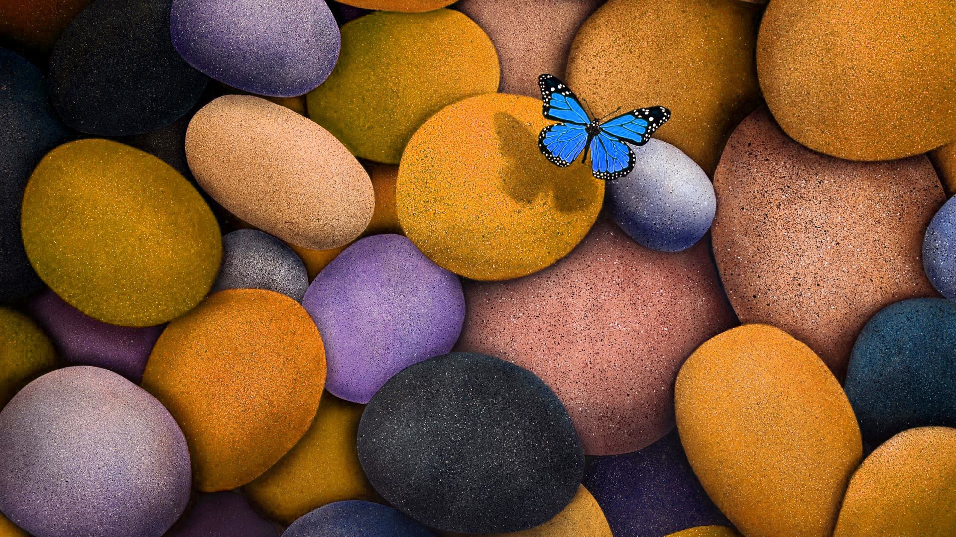Hình nền 3D con bướm đẹp cho Laptop: Con bướm, loài vật tượng trưng cho sự tinh tế và thanh cao, trở thành chủ đề trong những hình nền 3D cho laptop. Tải về và đặt làm hình nền cho máy tính của bạn, hình ảnh với độ phân giải cao sẽ khiến cho chiếc laptop của bạn trở nên tươi sáng và nhẹ nhàng.