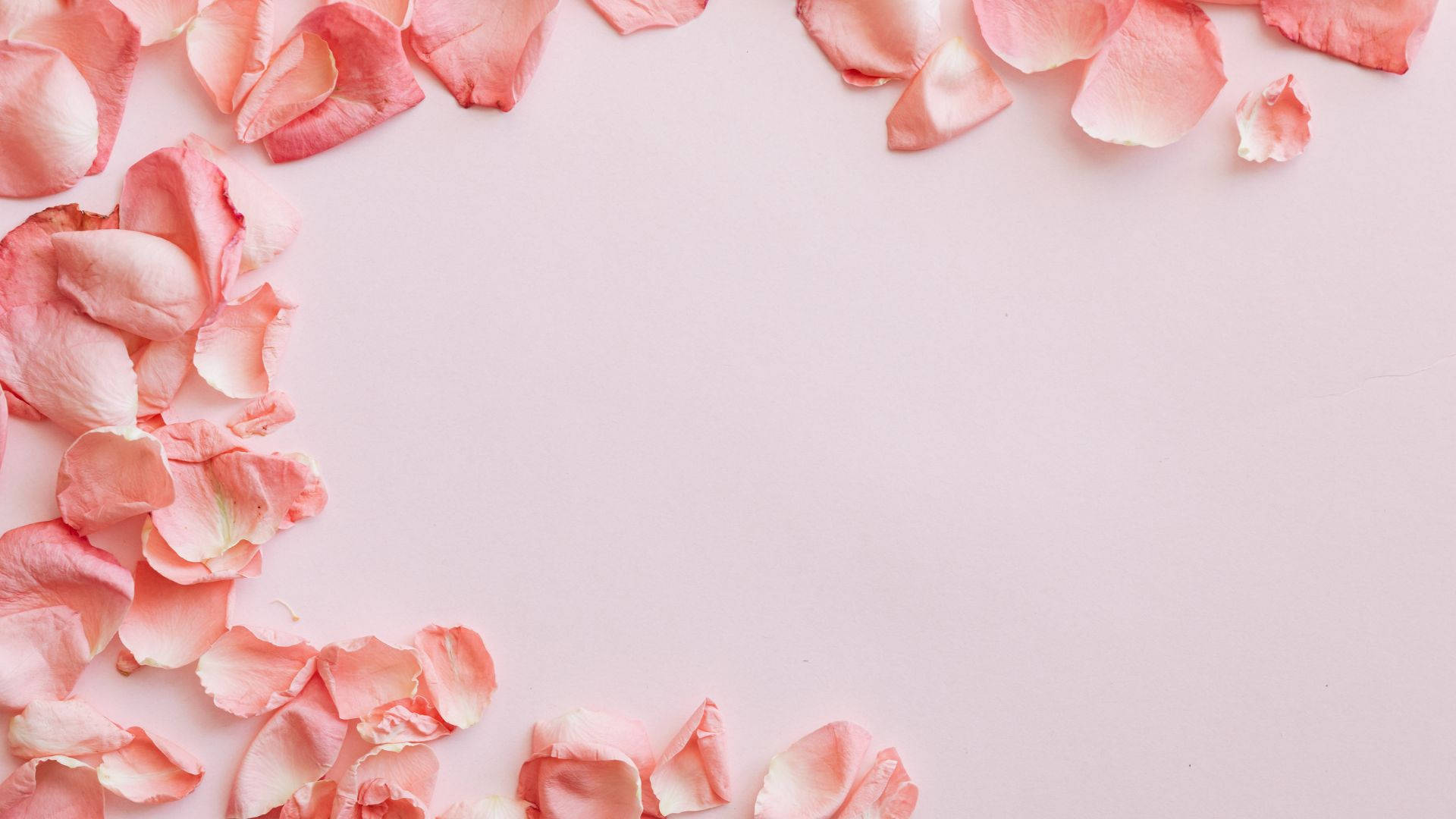 Baby Pink Wallpaper