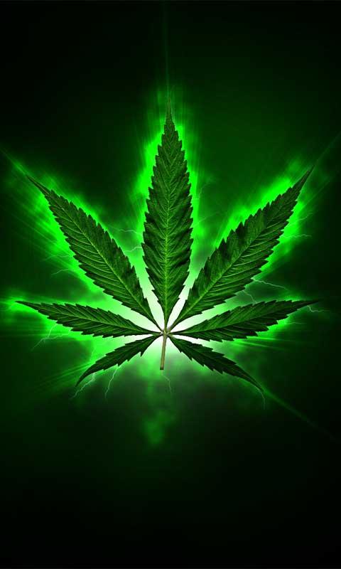 Marijuana Art Wallpaper