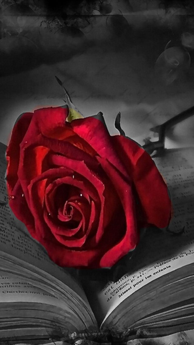 Beautiful Wallpaper For Mobile Phones