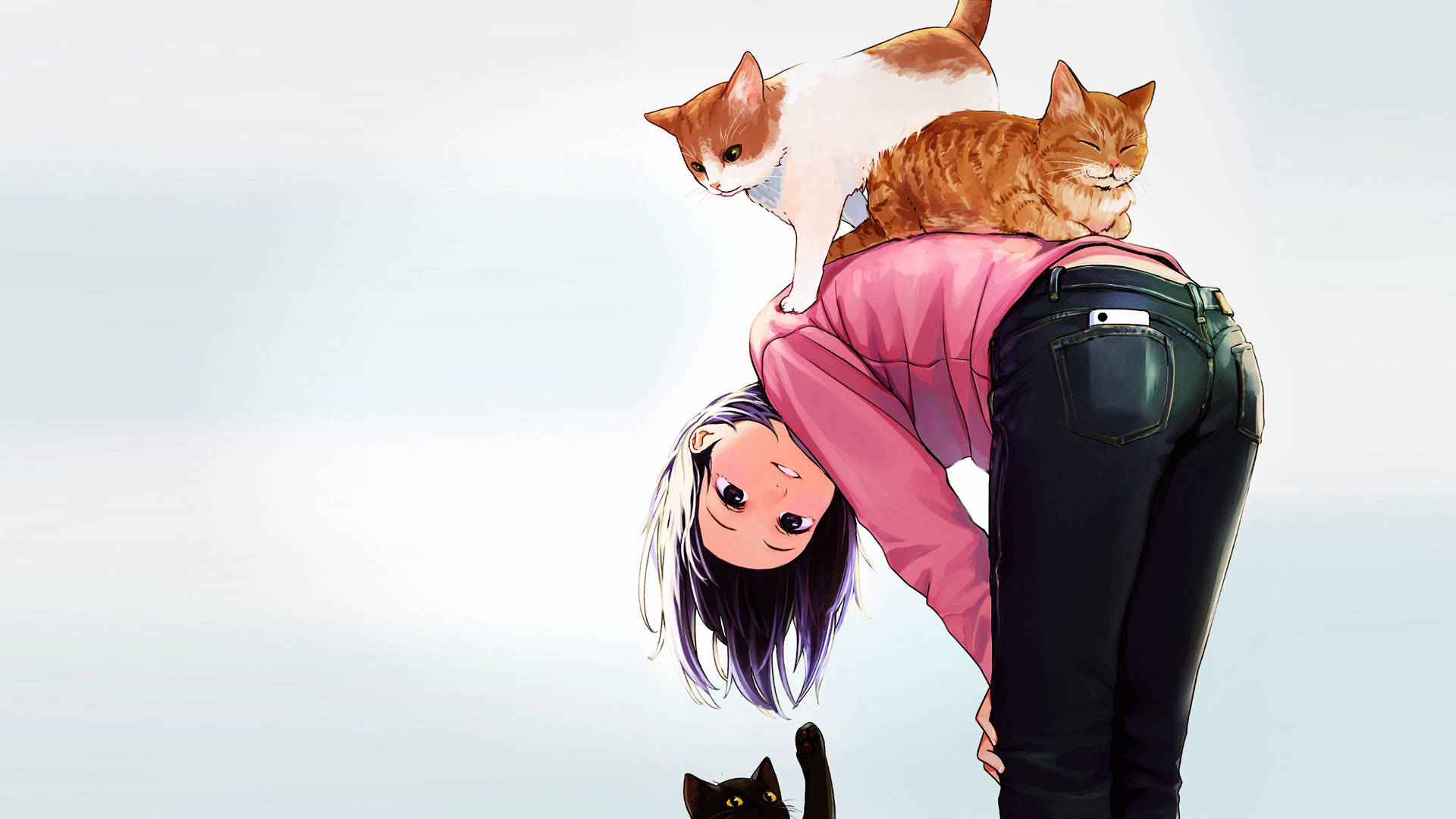 Anime Cat Wallpaper