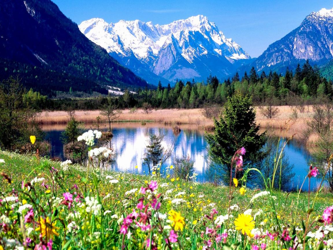 Free download Spring Mountain Landscape Hd Desktop Wallpaper
