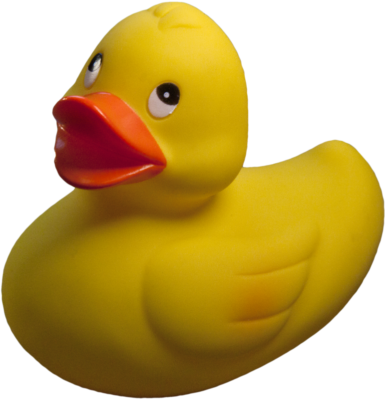 Rubber Duck Photo Object Of A Yellow The Background Is