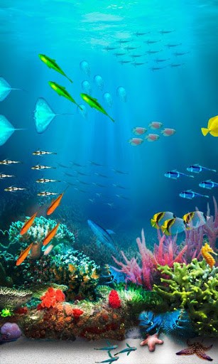 Life Wallpaper Animated Underwater World