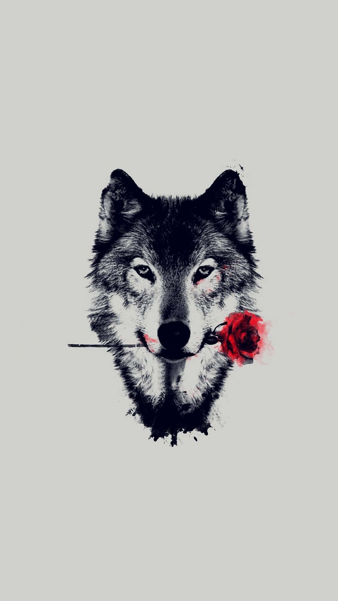 Wolf iPhone Wallpaper