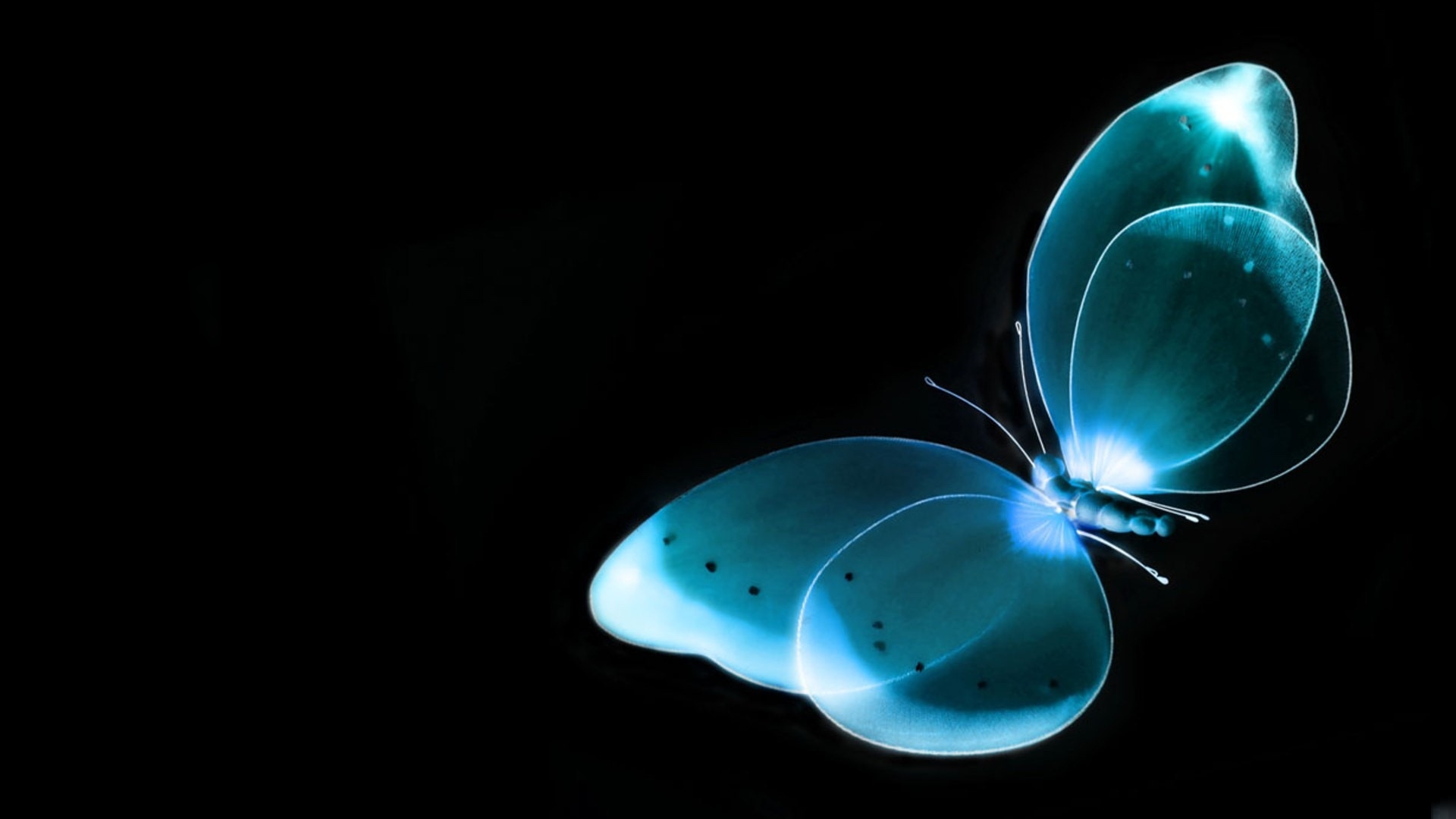 3d Butterfly Desktop HD Wallpaper Abstract