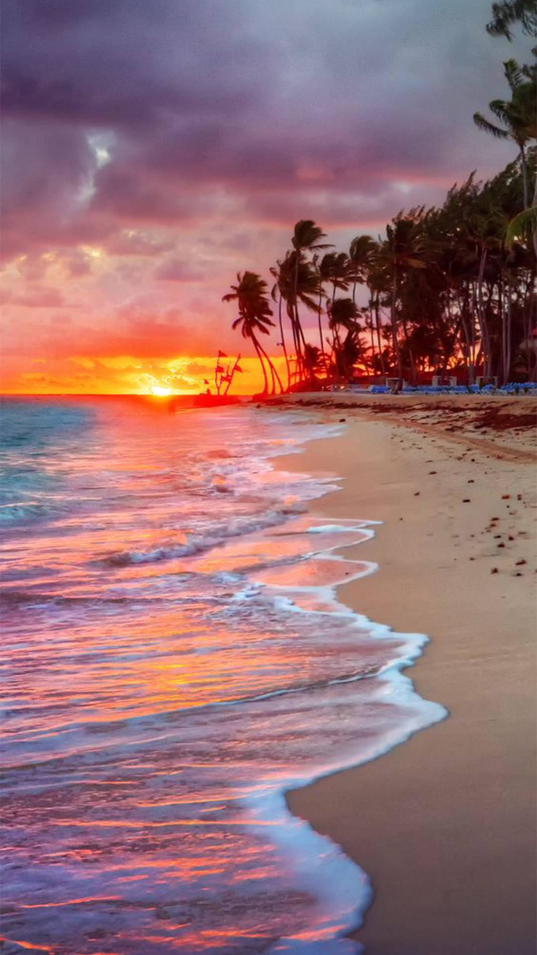 Download iPhone Beach Shore Sunset Wallpaper