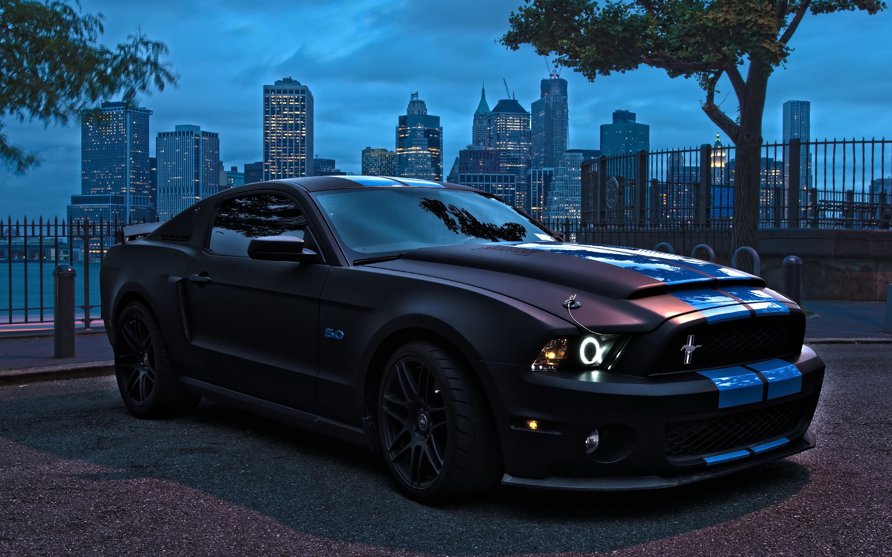 Ford Shelby Gt500 Wallpaper Widescreen Cool