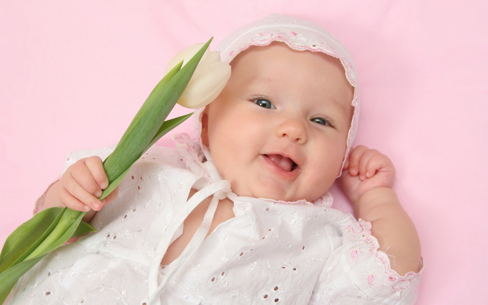 Roze Baby Bureaublad Achtergrond Met Kindje Tulp