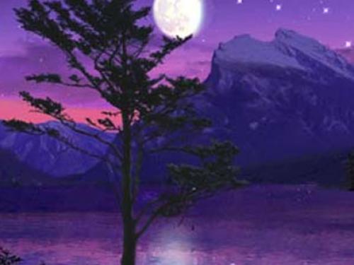 Moonlight Lake Wallpaper And Background