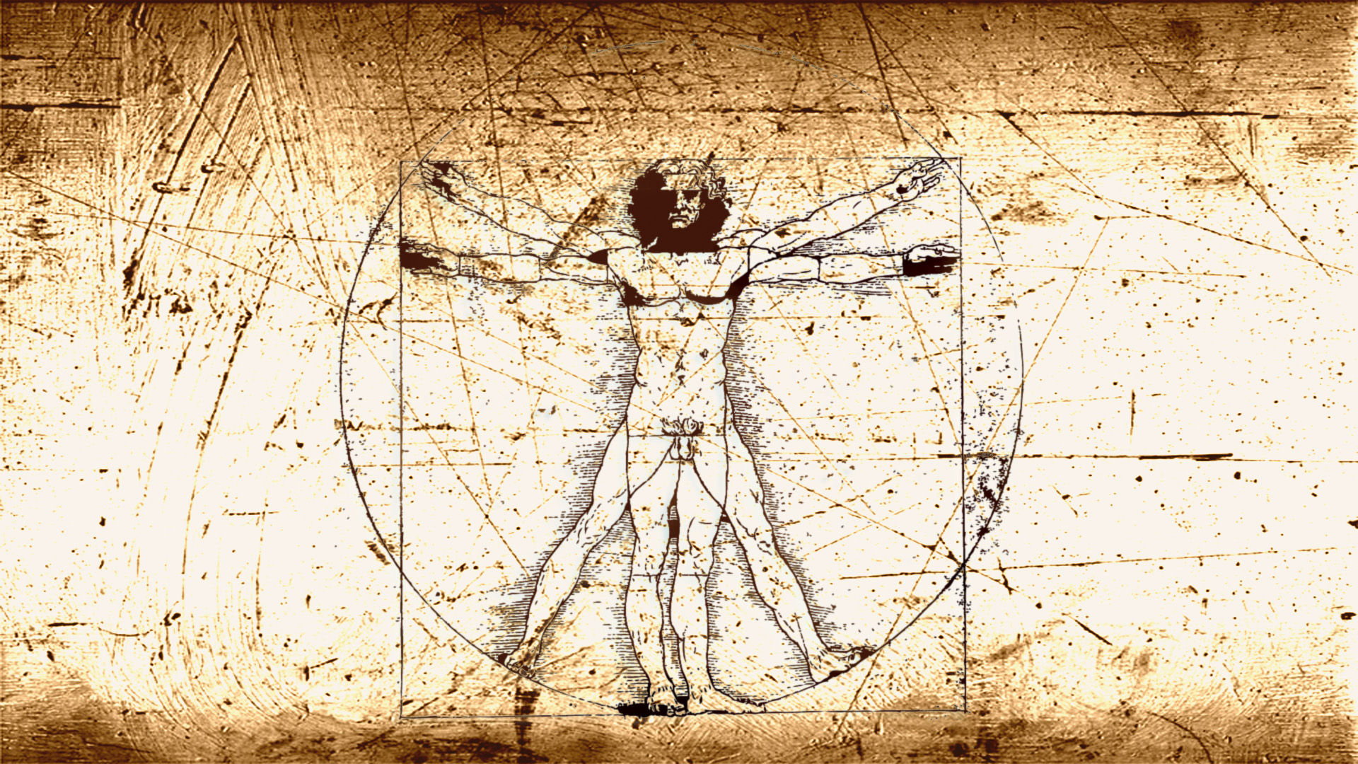 Vitruvian Man Wallpaper Art Widescreen Leonardo Da