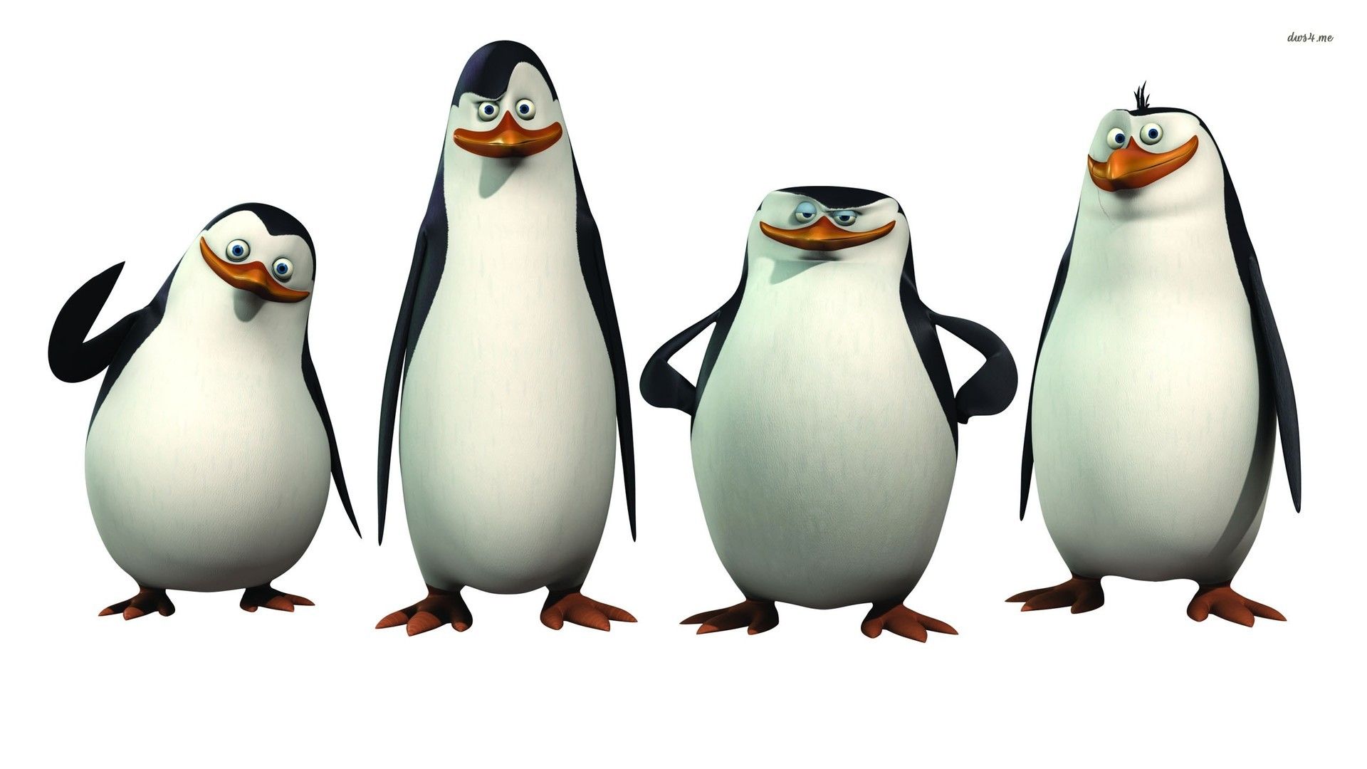 Penguin Madagascar Quotes Penquins