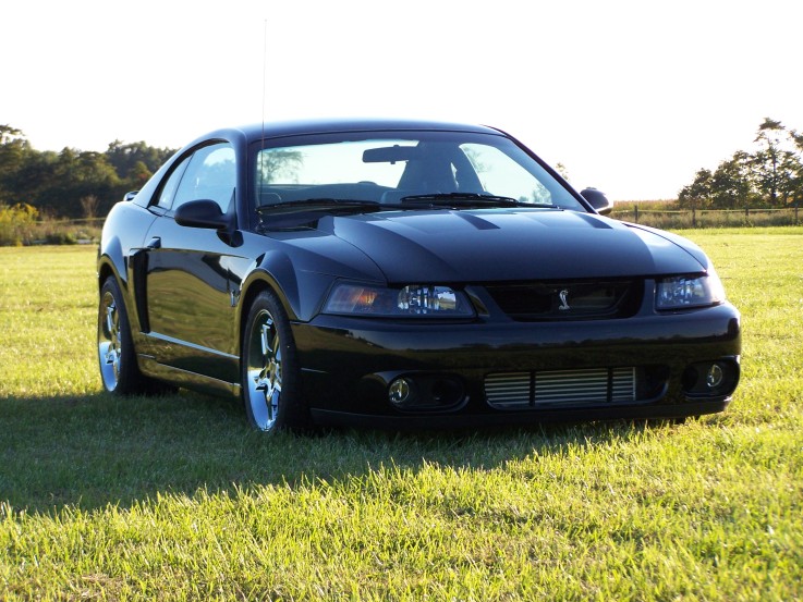 On For Svt Cobra Shop With Confidence