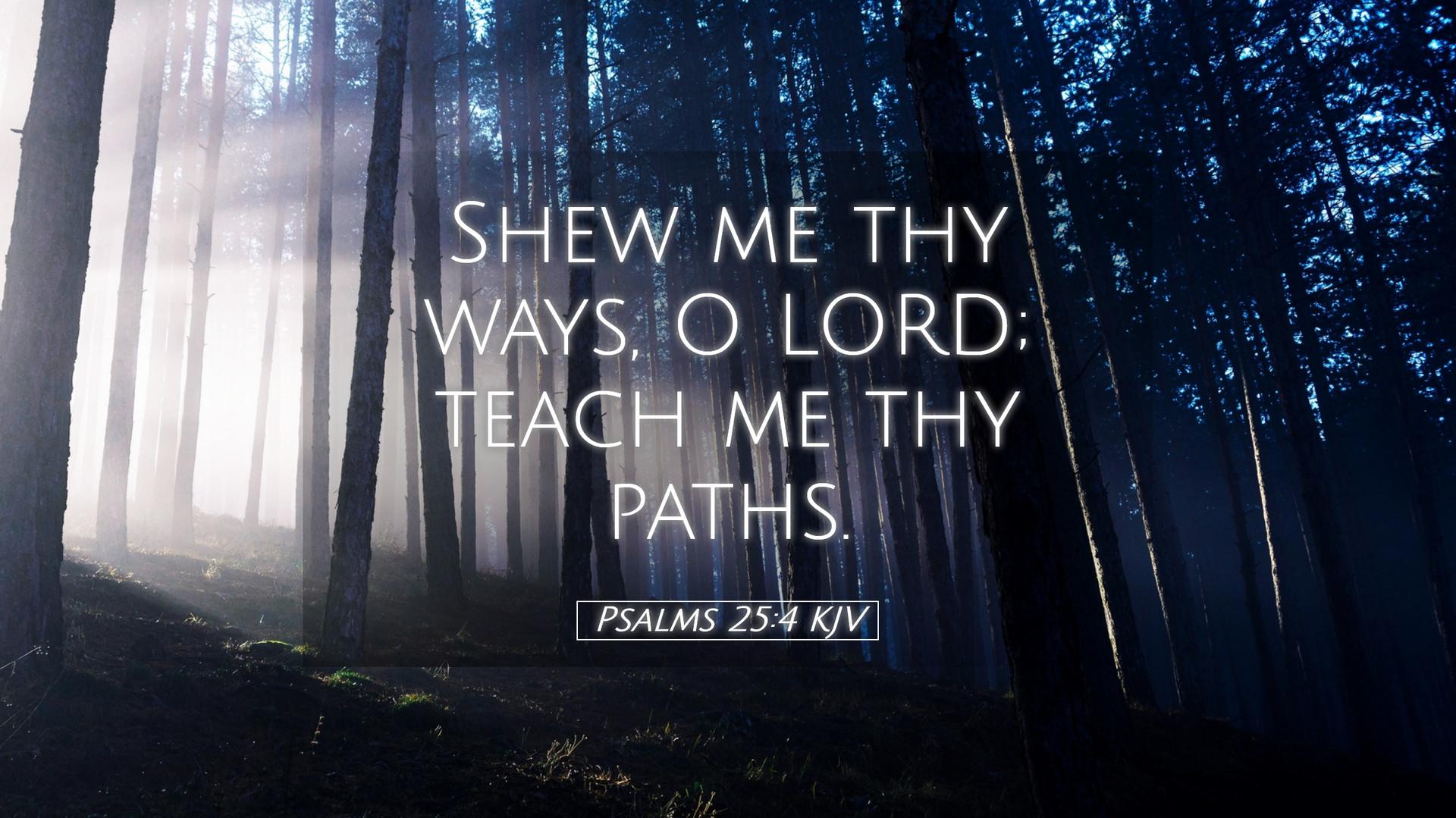 Psalms 254 KJV Desktop Wallpaper   Shew me thy ways O LORD