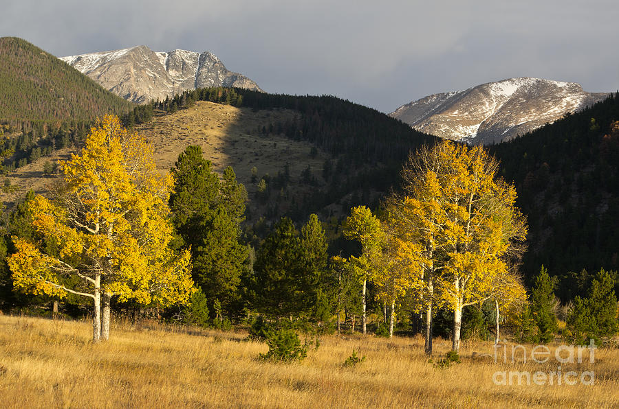 Scenic Colorado By Jerry Owens