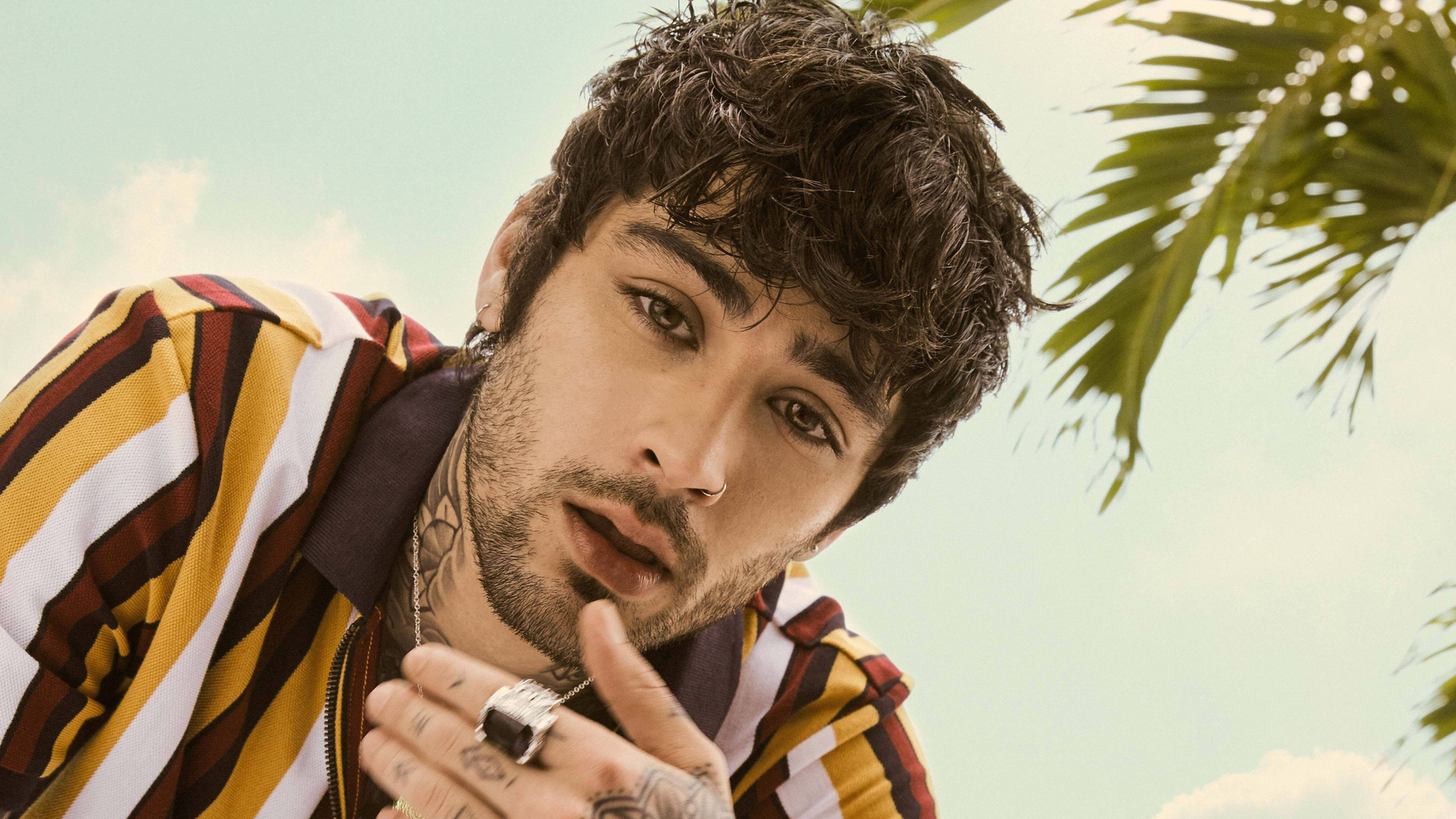 Zayn 4k Laptop Full HD 1080p Wallpaper Image Photos And Picture