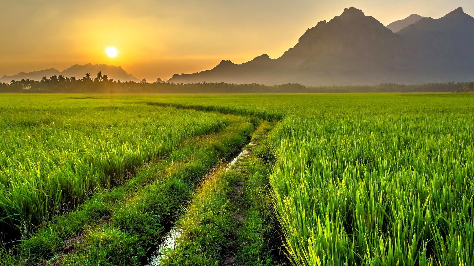 Landscape Sunset Field Path Wallpaper HD