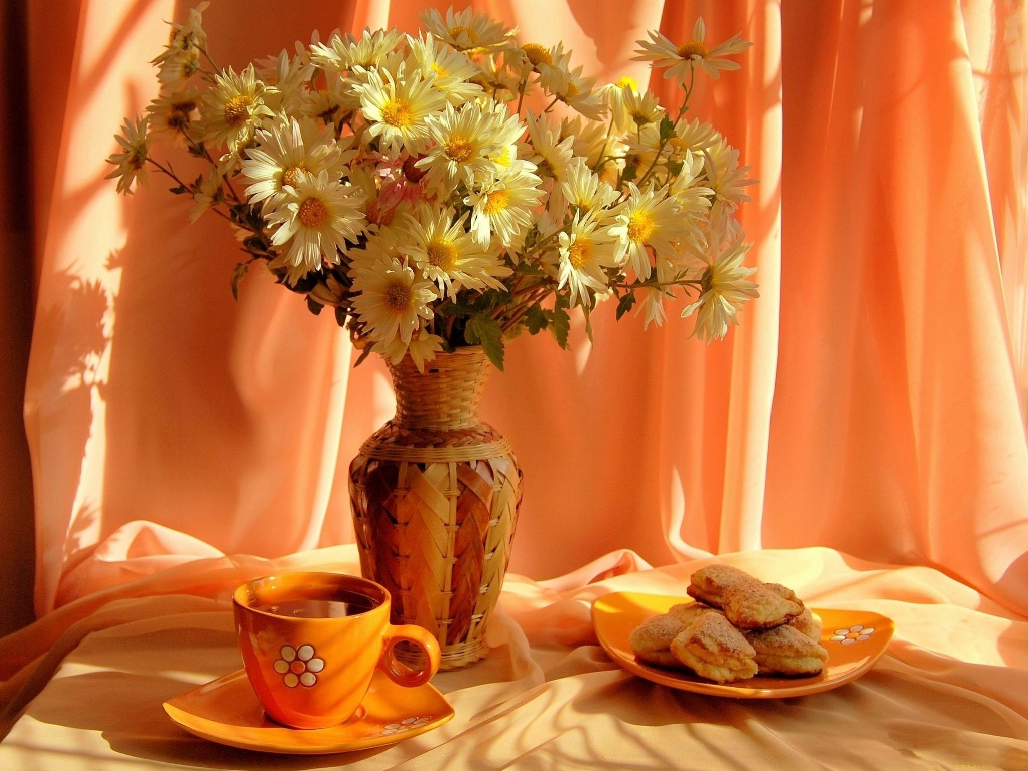 Cookie Plate Cup Vase Daisy Flower Photography Still Life HD Wallpaper