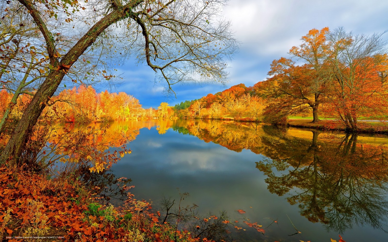 Wallpaper Lake Autumn Nature Landscape Desktop