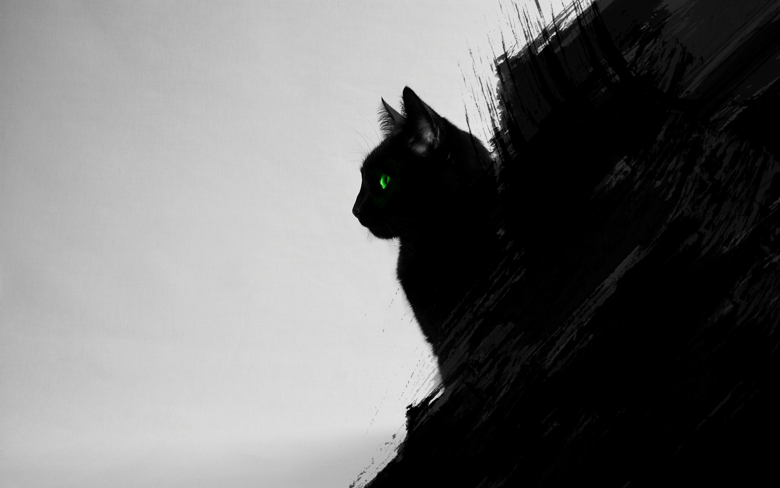 Cat Black Cats Animals Green Eyes Artwork Digital Art