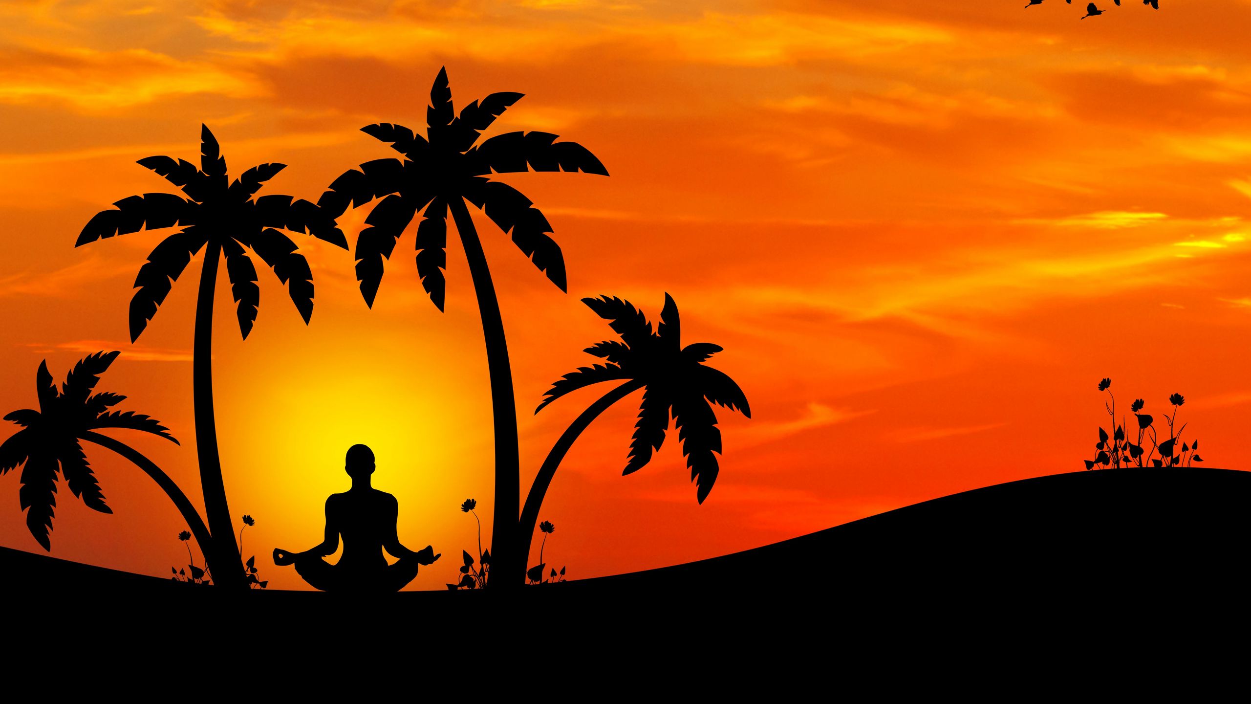 Download wallpaper 2560x1440 meditation yoga silhouette palm
