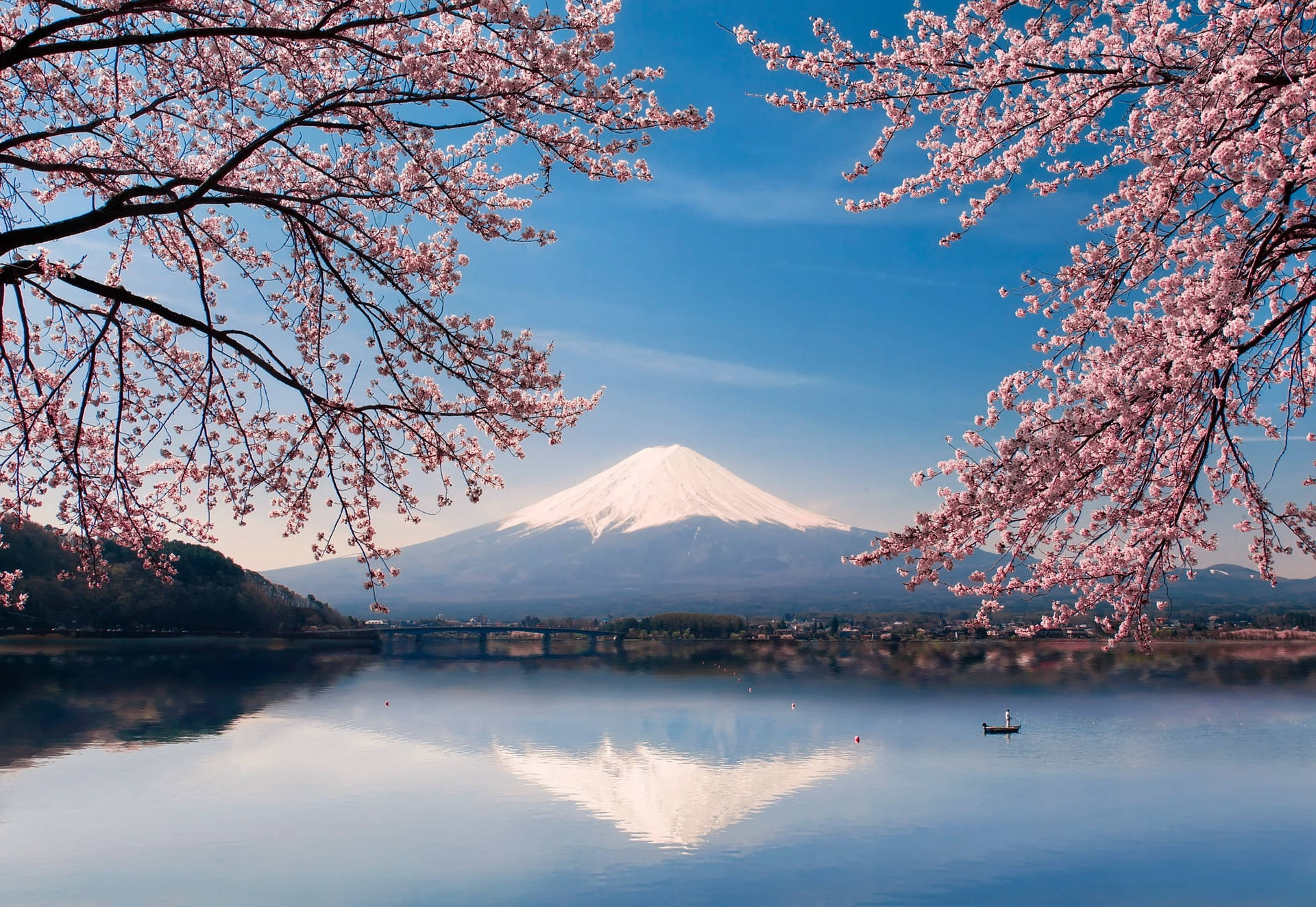 Mount Fuji in Spring with Cherry Blossoms - Japanese 4k Wallpaper