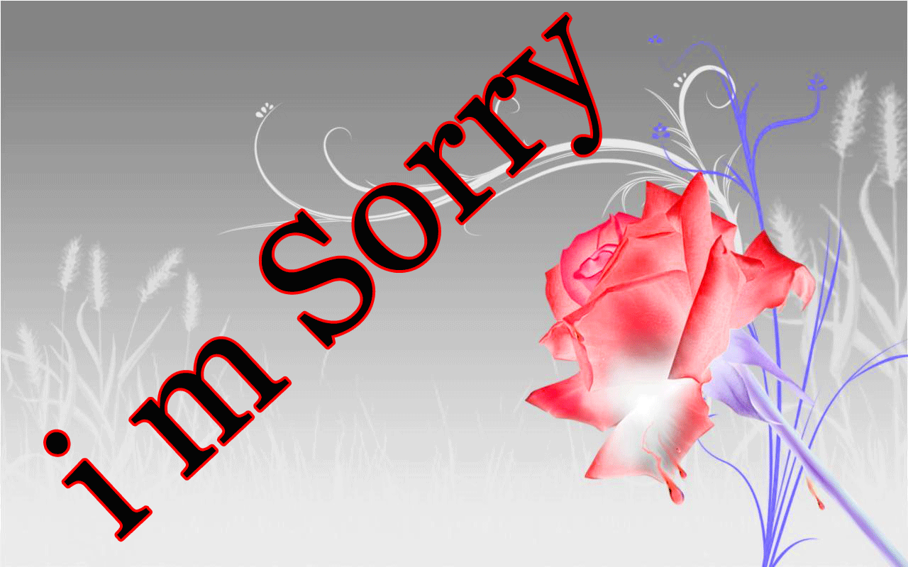 Free download I Am Sorry Images Wallpaper Pics Photo Download Am Sorry Free  [1280x800] for your Desktop, Mobile & Tablet | Explore 46+ Sorry  Backgrounds | Wallpaper Sorry, Wallpaper Of Sorry, Sorry Wallpapers