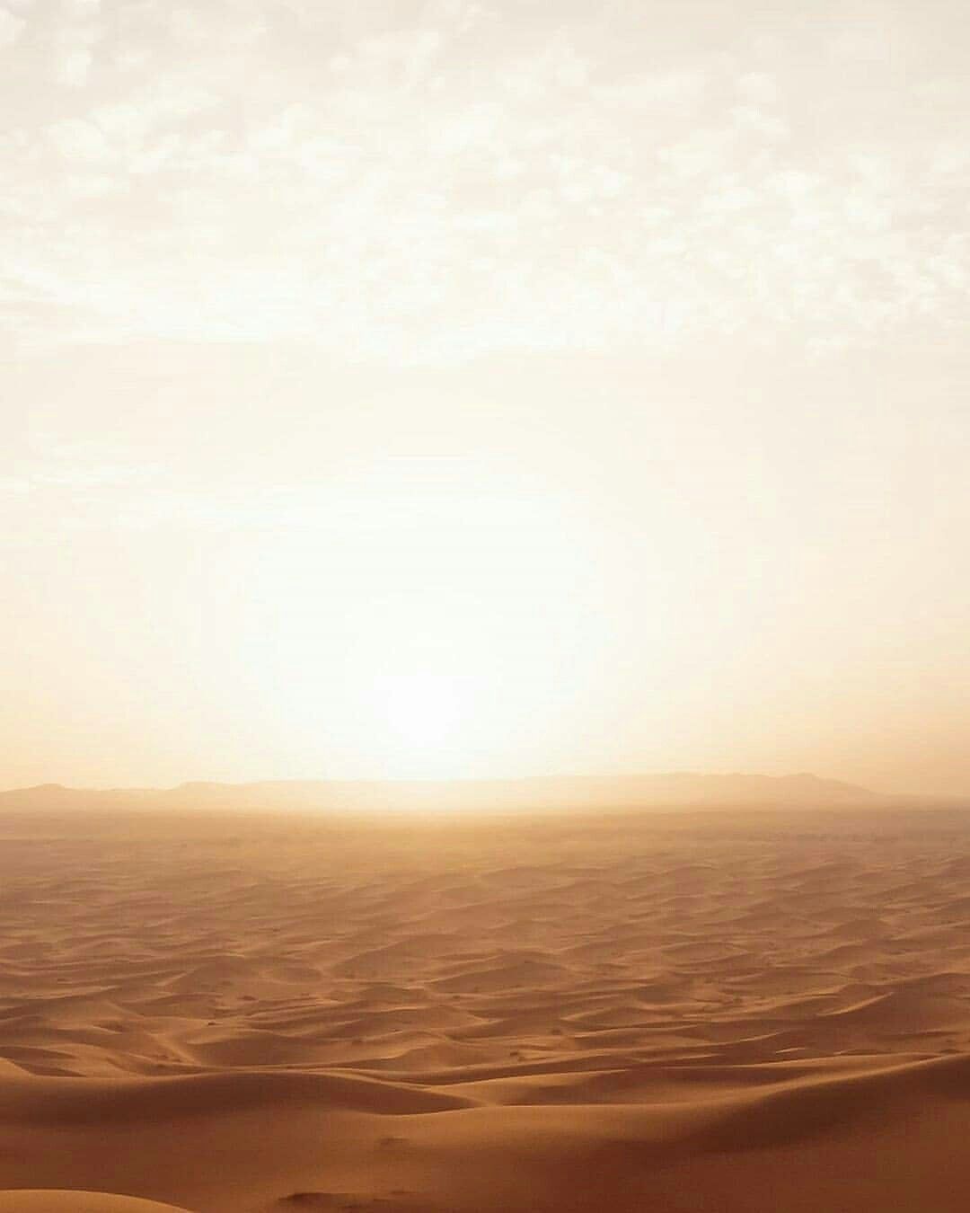 Stunning Desert Sunset Background Wallpaper