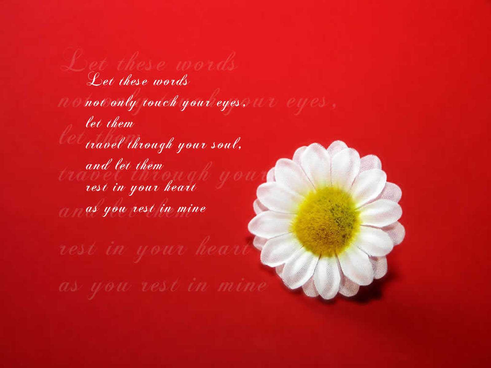 Love Quotes Wallpapers For Desktop QuotesGram