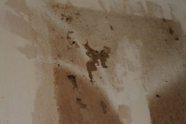 50 How To Patch Wallpaper On Wallpapersafari - Repairing Plaster Walls After Removing Wallpaper Uk 50 How To Patch Wallpaper On Wallpapersafari - Repairing Plaster Walls After Removing Wallpaper Uk