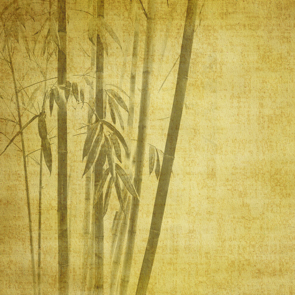 Old Bamboo Texture iPad Wallpaper