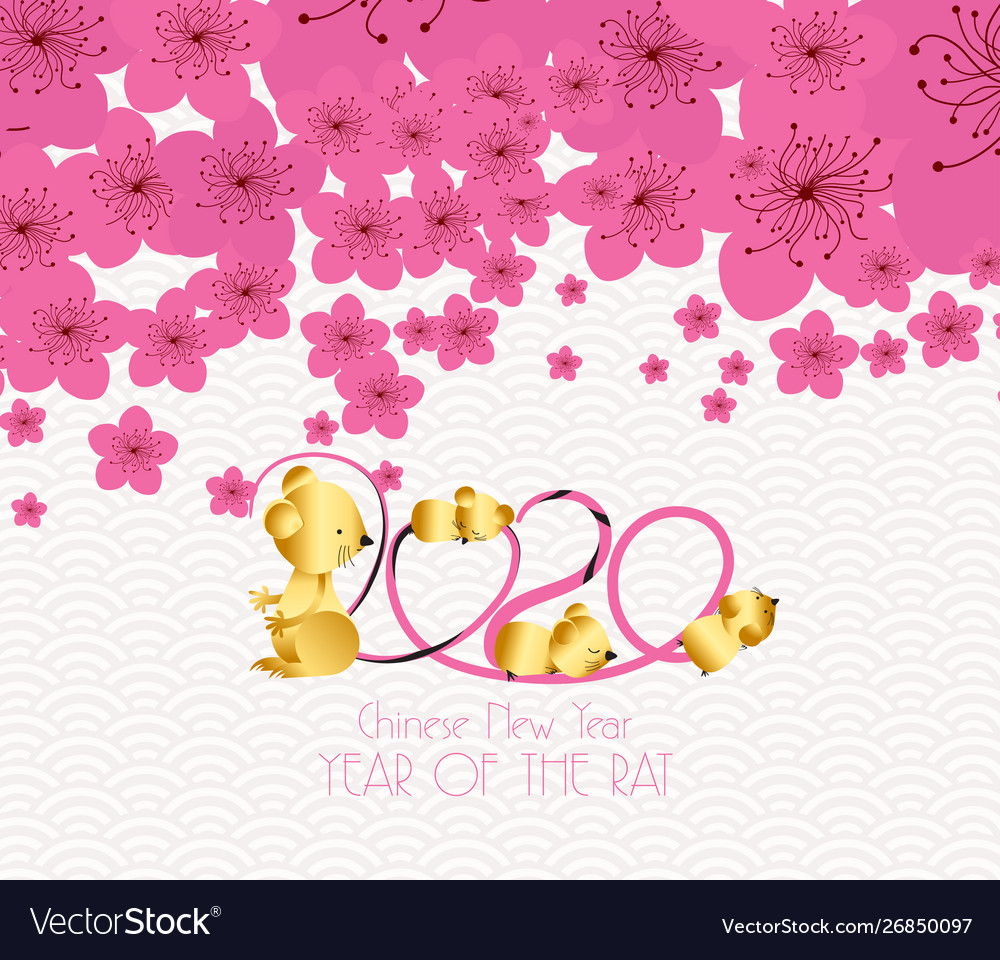 Chinese New Year Plum Blossom Background Vector Image