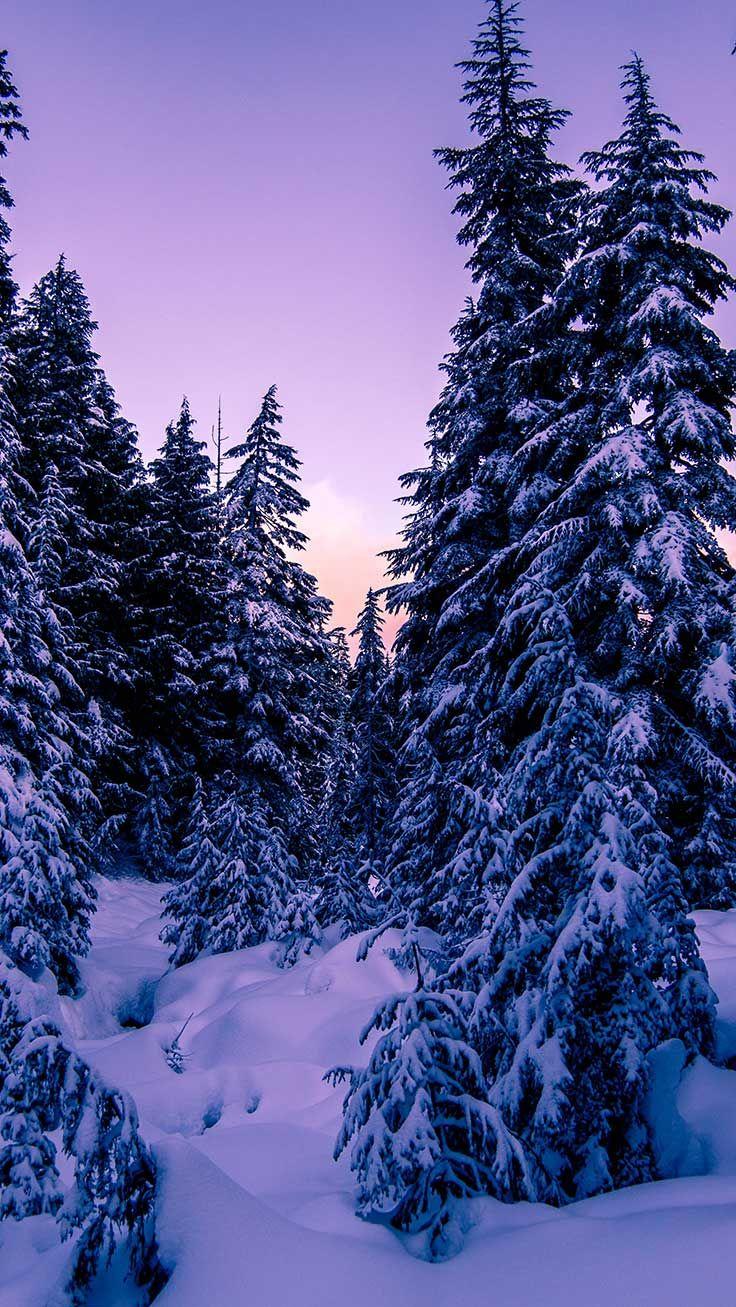 X Winter Landscapes iPhone Wallpaper Collection Preppy