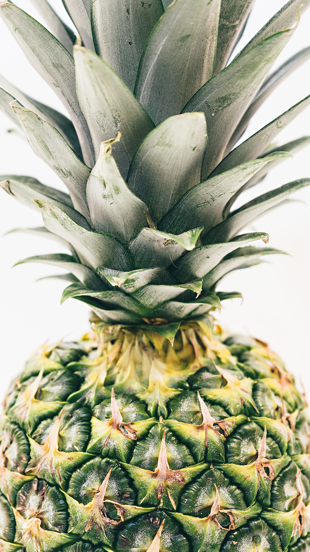Pineapple Wallpaper