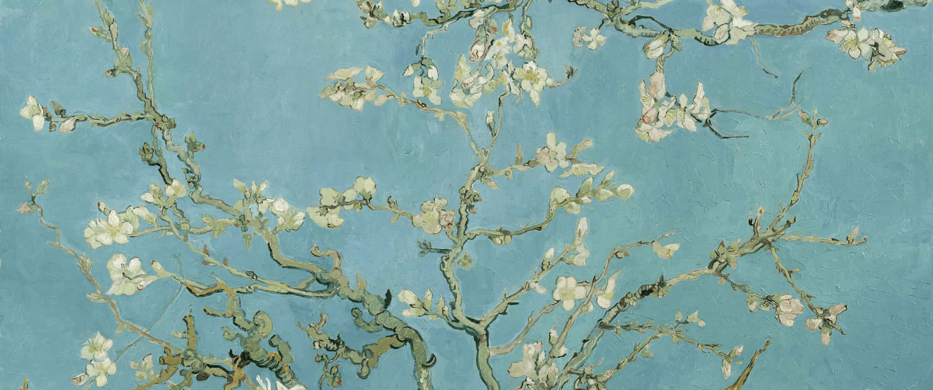 A Beautiful And Serene Painting Of Almond Blossoms By Vincent Wallpaper