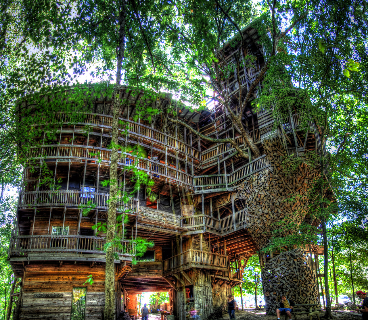 Tree House Design Wallpaper Cool HD Here