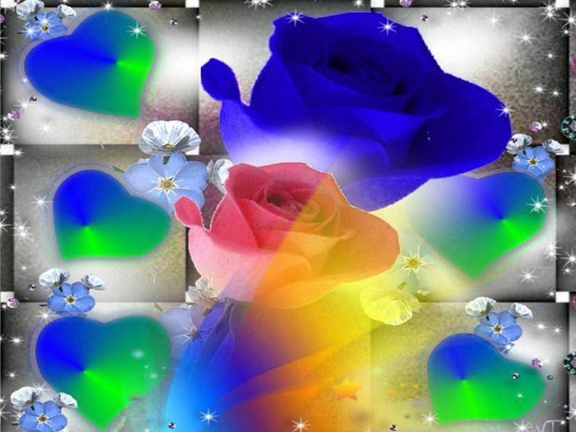 Rainbow Roses wallpaper