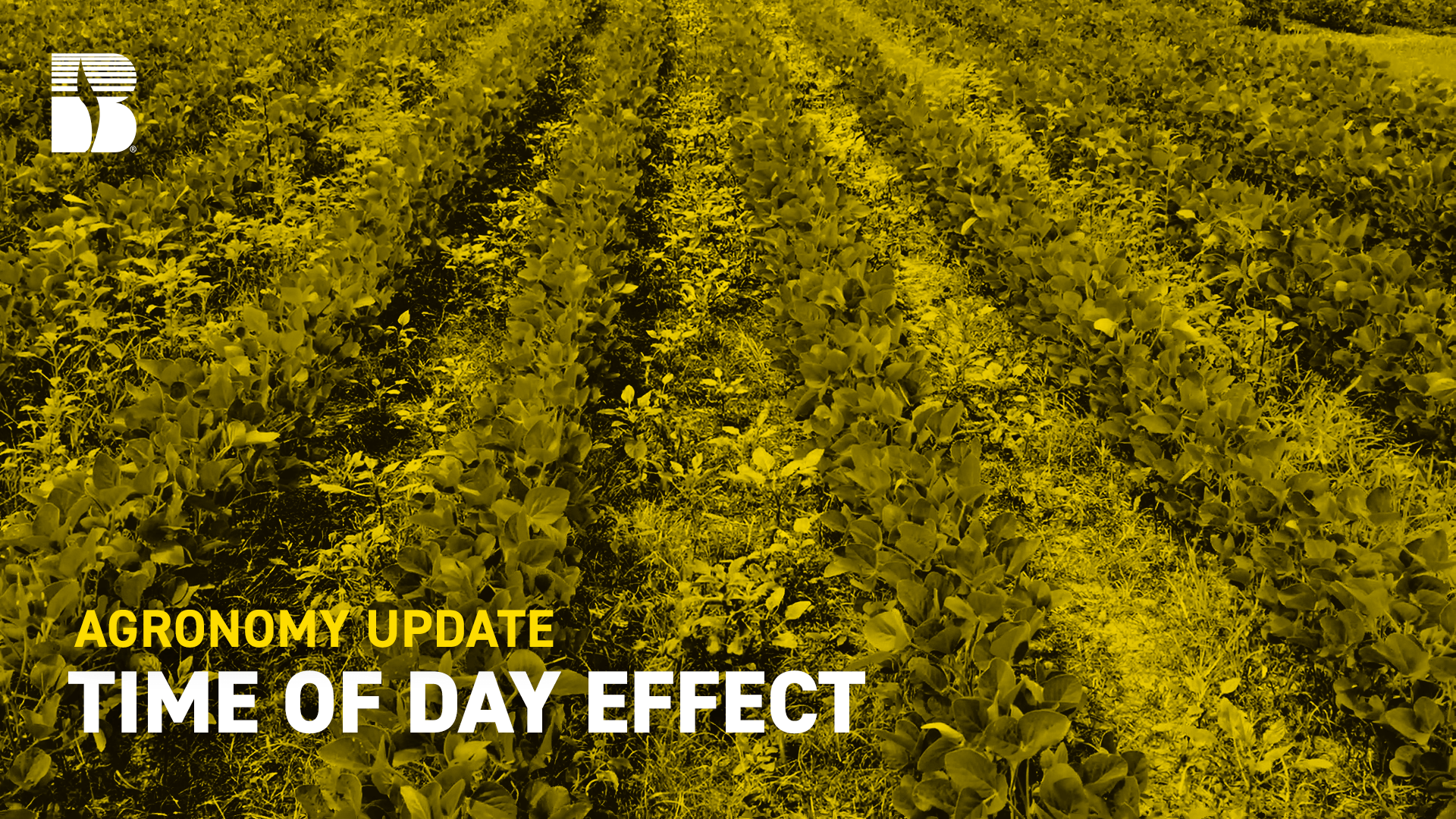 Agronomy Update The Time Of Day Effect With Roundup Ready