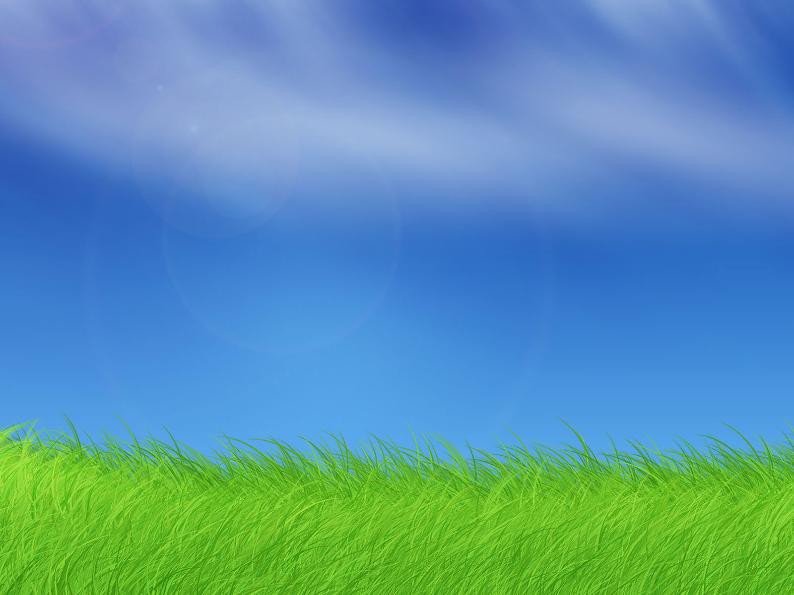 Desktop Background Puters Windows Xp Grass