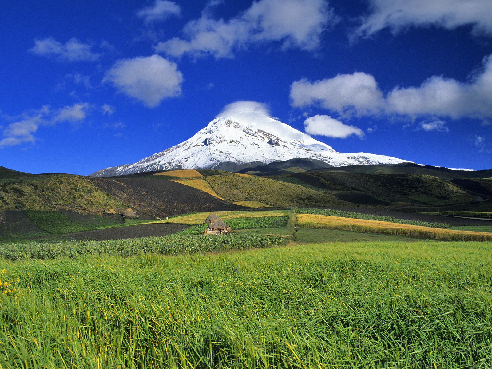 Ecuador Wallpaper
