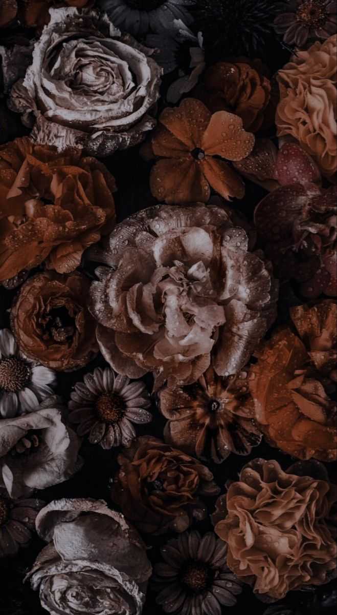 Dark Brown Aesthetic Wallpaper By Xnorthernx124